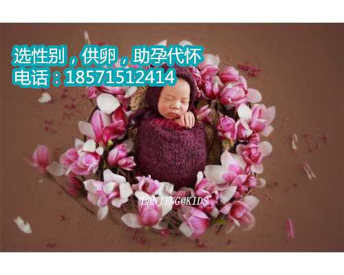 上海试管婴儿医院有哪些选择?