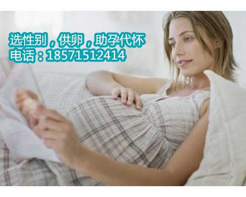 助力生育梦想，上海试管婴儿助孕费用大揭秘