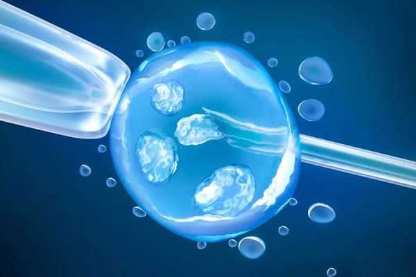 北京有做供卵试管的机构吗的好选择,试管供卵代怀机构包成功