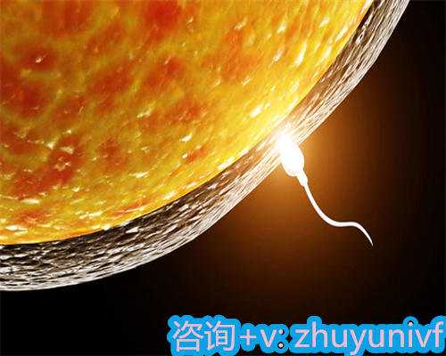 国外做供卵试管供卵助孕生子费用需要多少？