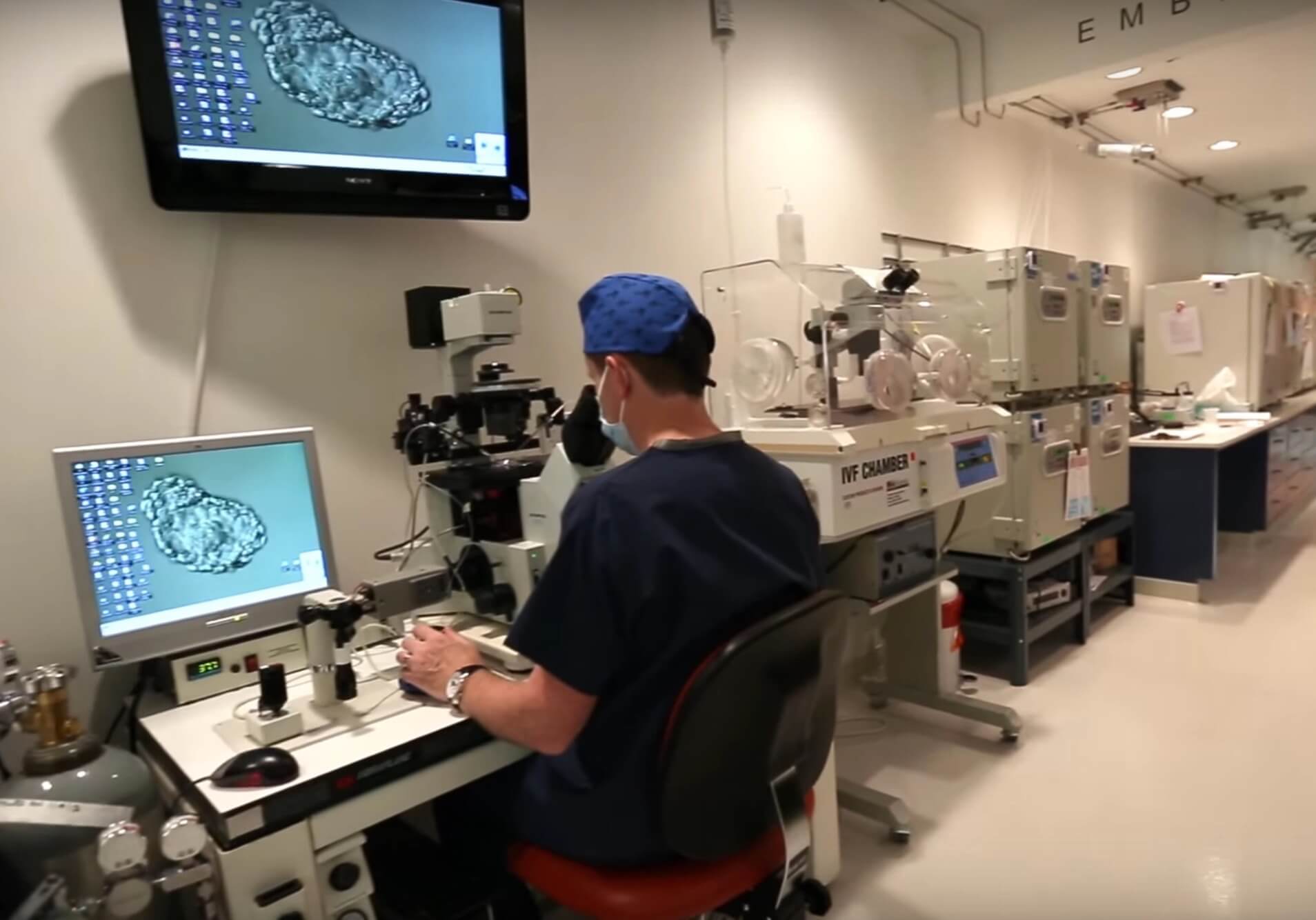 供卵机构包男孩_供卵生子合法吗,成都西囡医院是正规公立医院吗？