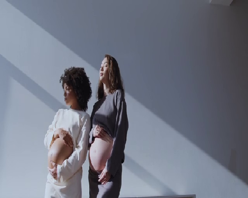 三代试管供卵助孕费用,杭州供卵三代试管