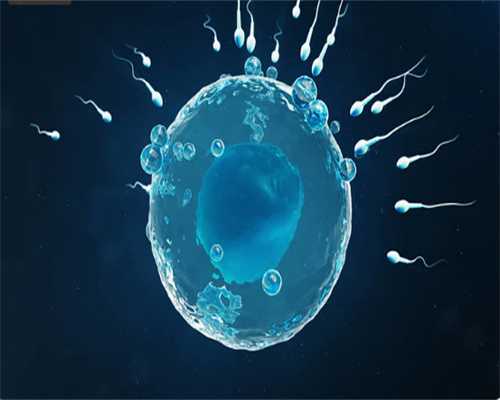 合肥供卵试管助孕成功率,高龄试管供卵成功率