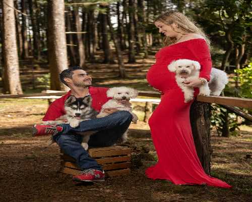 供卵试管助孕中心一览，2026年已更新|哪家做供卵