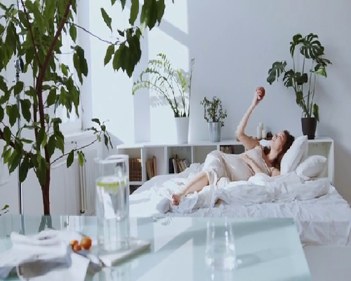 2026年黑龙江省供卵试管助孕医院排名汇总，内附供卵条件及现状