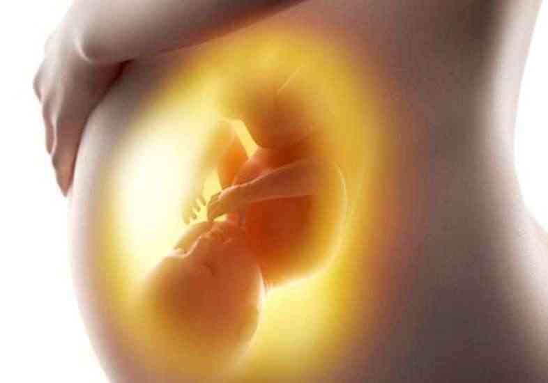 国内靠谱供卵医院_幸孕星供卵成功率,无锡正规不孕不育医院排名(无锡正规不孕