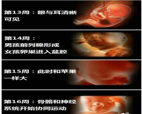 输卵管狭窄中药治疗~促排国产与进口的区别北京