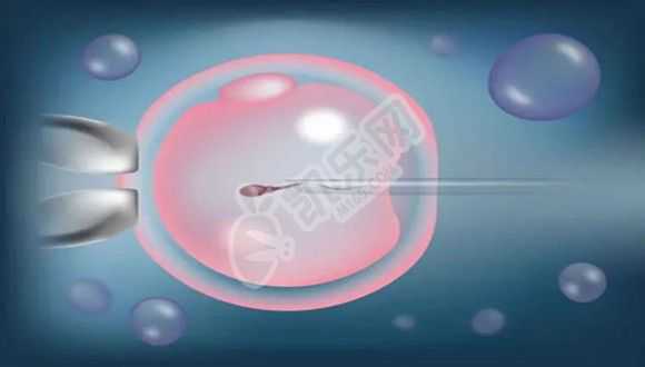 供卵怀孕有母乳吗_昆明纳瑞丨细胞计数与存活的测试实验方法