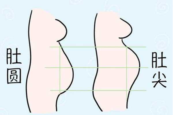 没有卵巢供卵试管成功率_孕妇肚子尖和圆的区别是什么？肚子尖圆看男女准吗