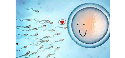 供卵机构绿色通道_长沙助孕试管婴儿要想成功移植胚胎的数量几枚才最好？