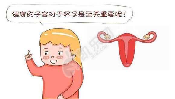 借卵做试管的费用大概多少_深圳港大医院试管婴儿交流群-试管婴儿 试管婴儿
